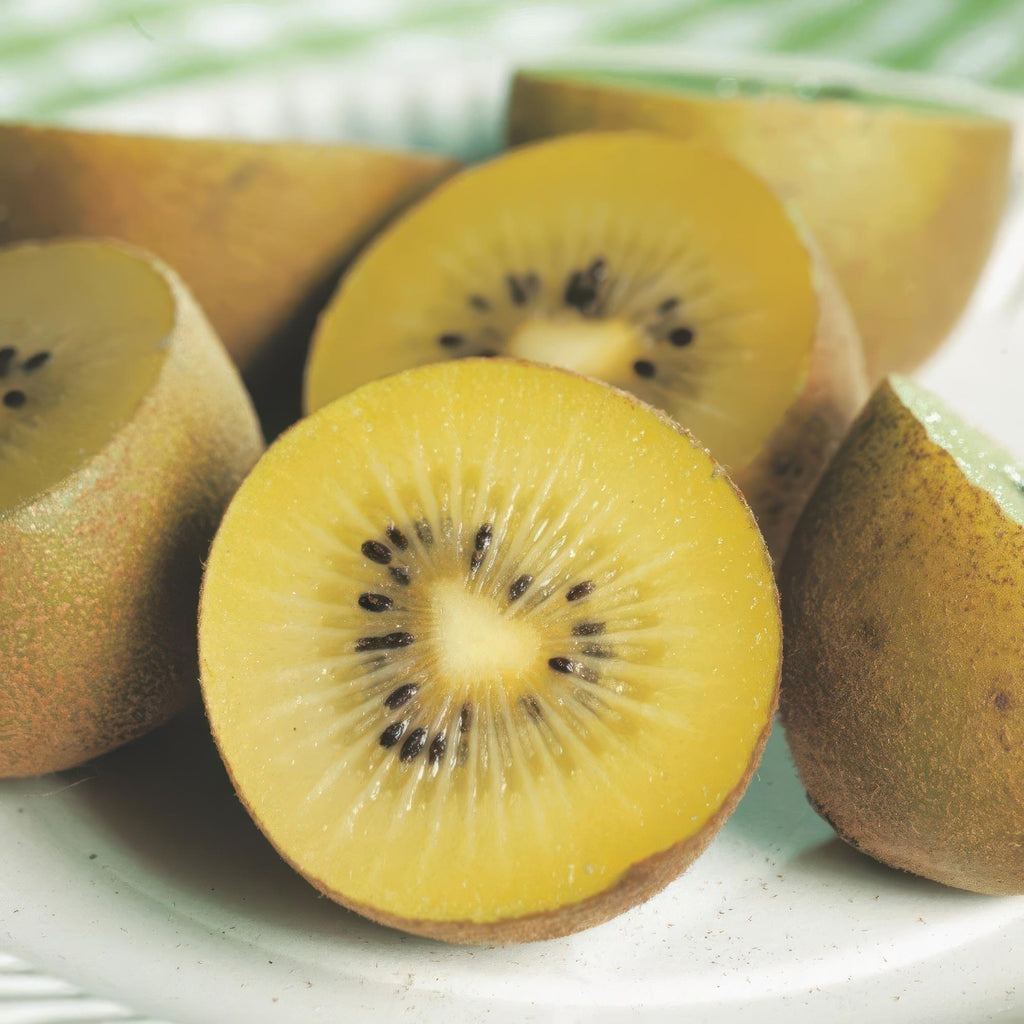Actinidia deliciosa Golden Kiwi – 2 Obstpflanzen – Süße gelbe Früchte – Ø15cm Höhe 50cm – Einfach zu pflegen & vitaminreich – Plant