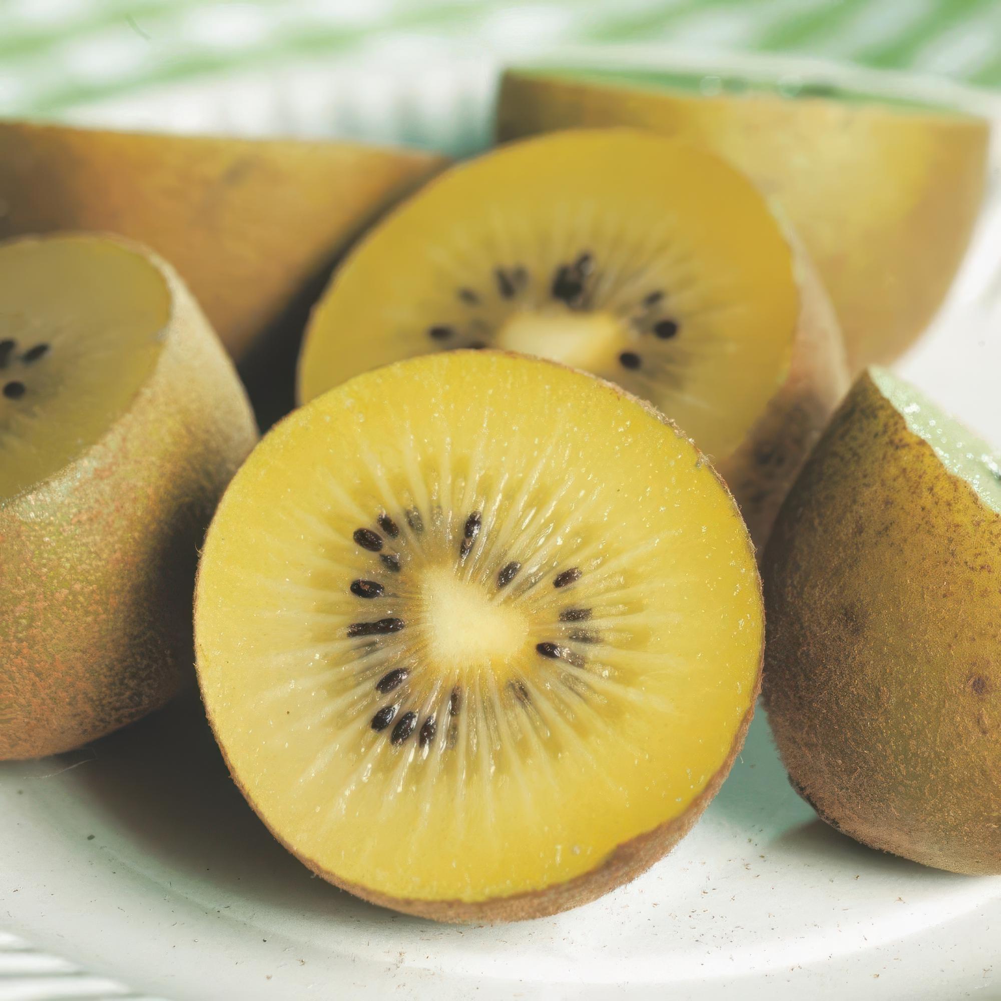 Actinidia deliciosa Golden Kiwi – 2 Obstpflanzen – Süße gelbe Früchte – Ø15cm Höhe 50cm – Einfach zu pflegen & vitaminreich – Plant