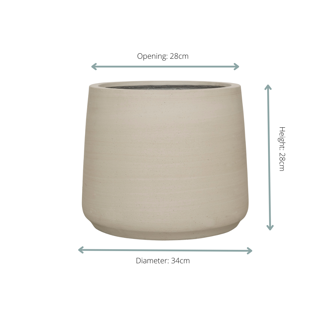 Pflanzgefäß Jumbo Patt Beige Washed – D34xH28cm – Moderner Blumentopf in Beton-Optik – Stilvoller Pflanzkübel für Innen & Außen – Dekorativer Topf für Zimmerpflanzen, Palmen & Ziergräser – Plant