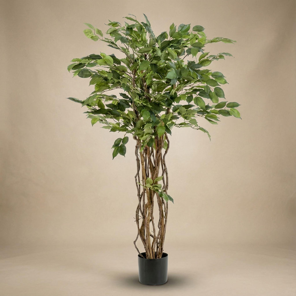 Ficus Liana Kunstbaum – 140cm – künstliche Pflanze mit realistischer Blattstruktur – Pflegefreier Deko Baum für Wohnzimmer Büro & Empfangsbereich – Standard