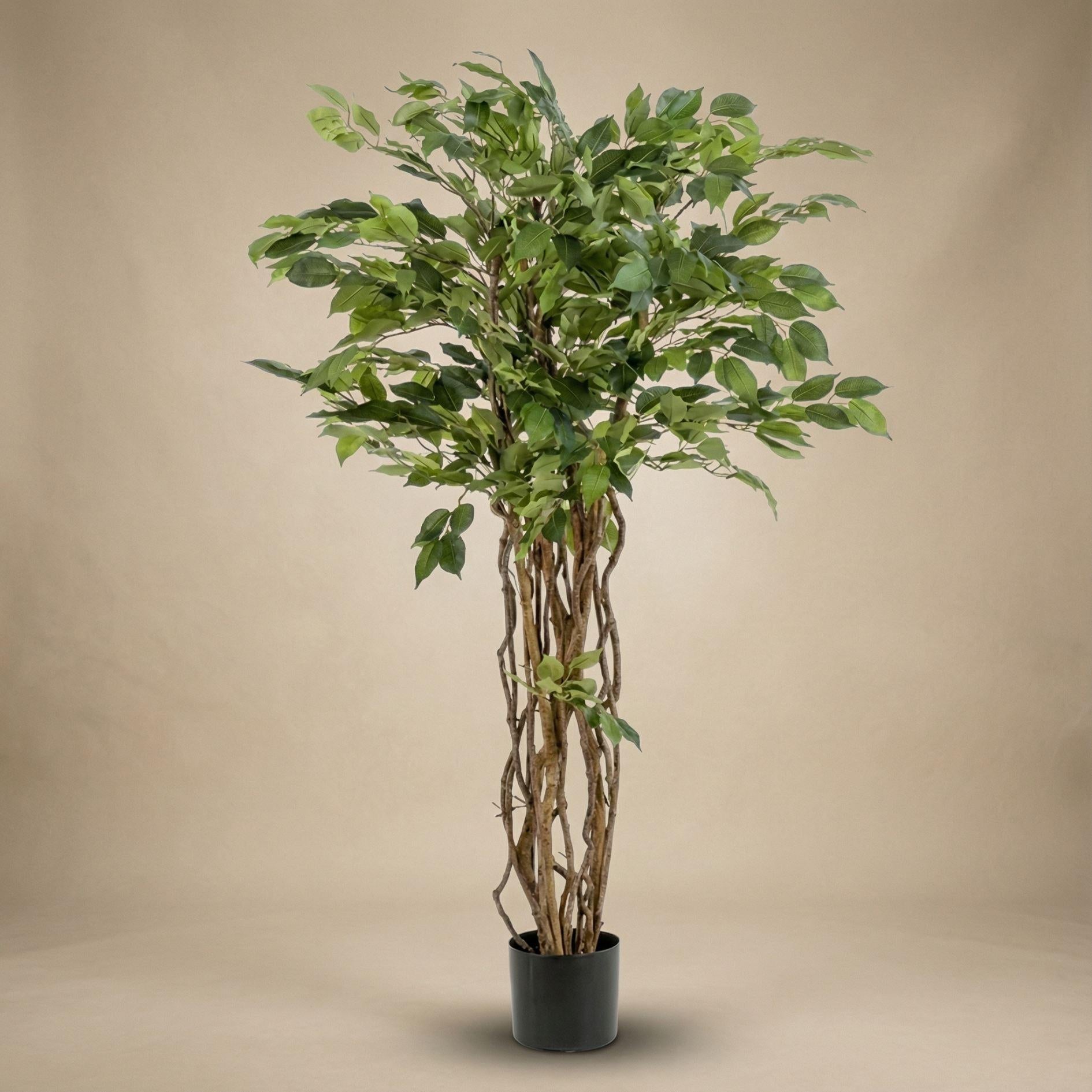 Ficus Liana Kunstbaum – 140cm – künstliche Pflanze mit realistischer Blattstruktur – Pflegefreier Deko Baum für Wohnzimmer Büro & Empfangsbereich – Standard