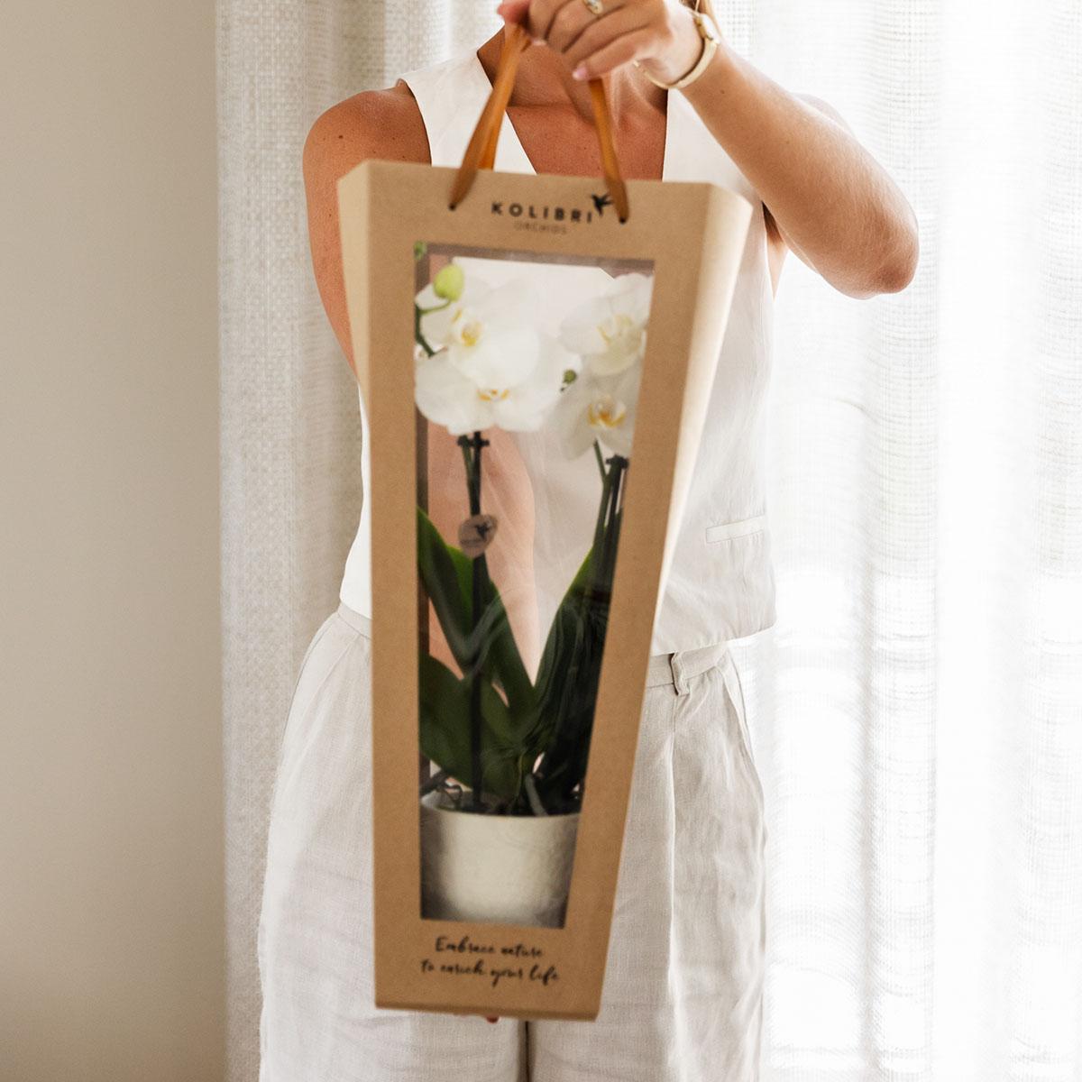 Pflanzengeschenk Gute Besserung – Weiße Phalaenopsis Orchidee Ø9cm im Dekotopf – Inklusive Geschenktasche & Grußkarte Get well soon – Plant