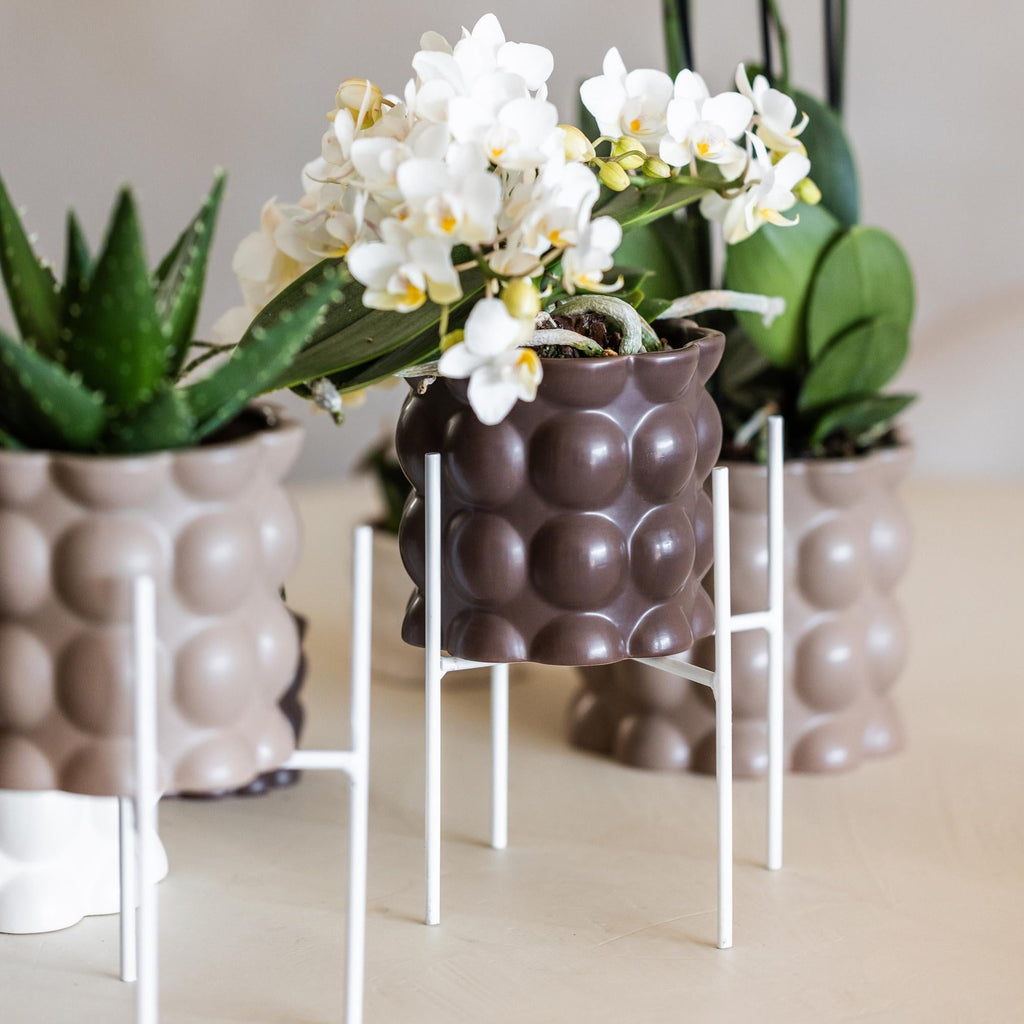 Weißer Metall – Pflanzenständer Ø12cm – Blumentopfständer aus Metall – Pflanzenhalter für Zimmerpflanzen – Stabil, stilvoll & vielseitig – Plant