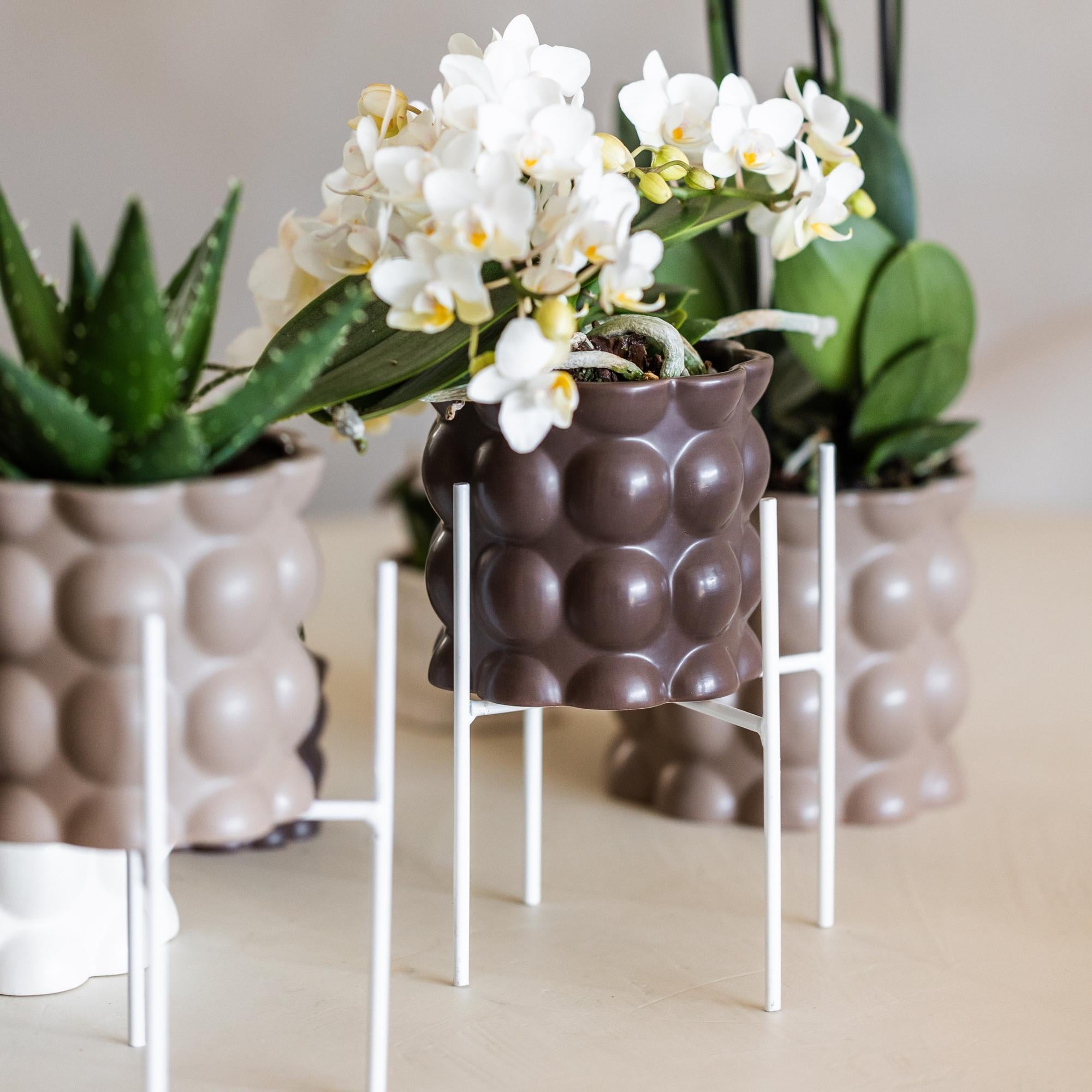 Weißer Metall – Pflanzenständer Ø12cm – Blumentopfständer aus Metall – Pflanzenhalter für Zimmerpflanzen – Stabil, stilvoll & vielseitig – Plant