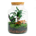 Flaschengarten DIY Bausatz – Terrarium Milky Palme – Ø21cm x 30cm – Selbstbewässerndes Mini – Ökosystem – Inklusive Anleitung – Plant