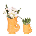 Pflanzset Weiße Nazaré Orchidee & Sukkulente Crassula Hobbit – In orangefarbenen Fish Keramiktöpfen Ø9cm & Ø6cm – Mediterranes Zimmerpflanzen Duo – Plant