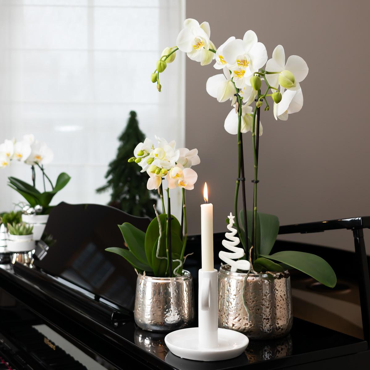 Luxuriöser Blumentopf – Silberner Keramiktopf Ø6cm – Eleganter Ziertopf für kleine Pflanzen – Hochglanz – Dekoration für Wohnraum & Büro – Plant