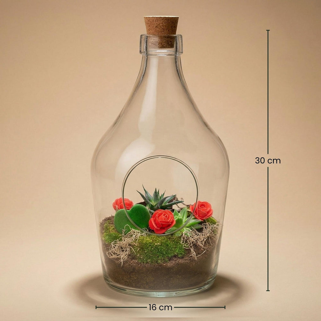 Love in a Bottle DIY Pflanzenterrarium Ø16cm Höhe30cm – Offenes Flaschenterrarium mit Hoya Kerrii Herzpflanze – Sukkulenten Set