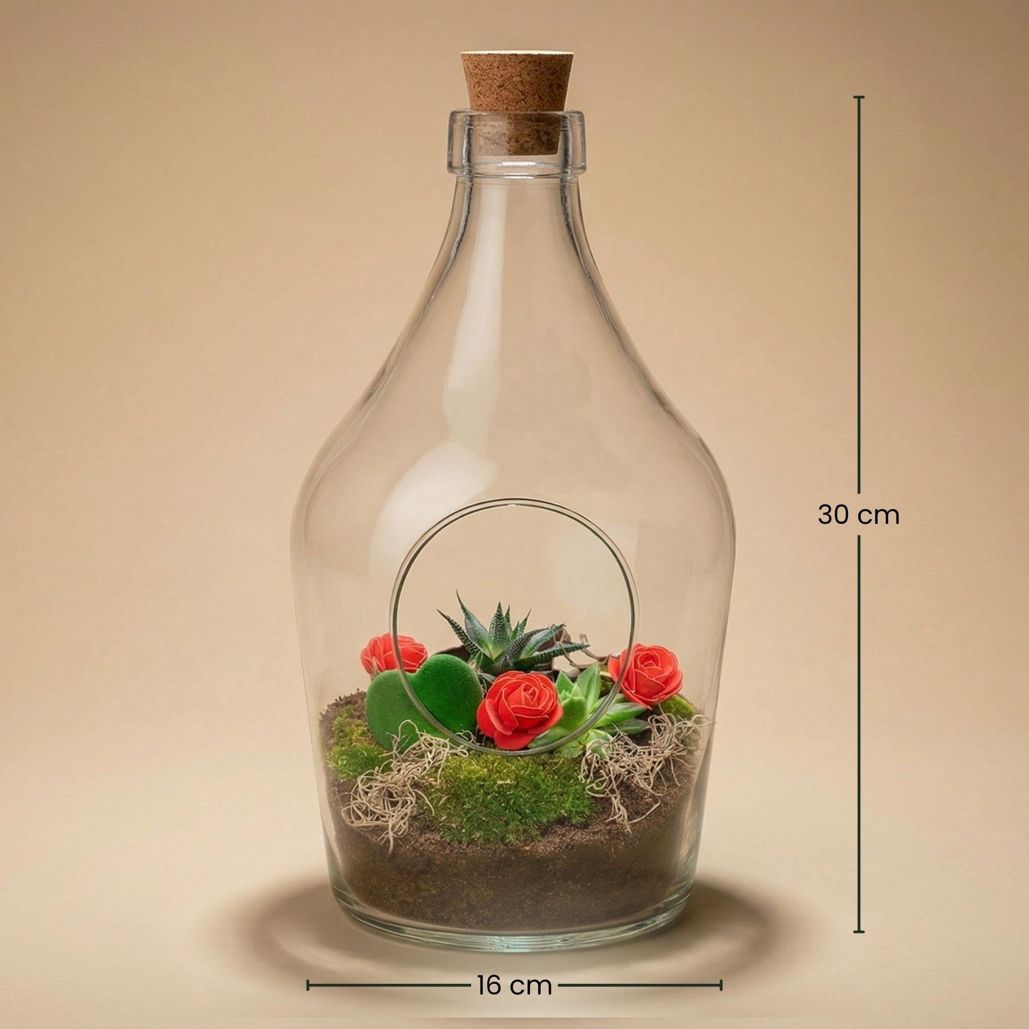 Love in a Bottle DIY Pflanzenterrarium Ø16cm Höhe30cm – Offenes Flaschenterrarium mit Hoya Kerrii Herzpflanze – Sukkulenten Set
