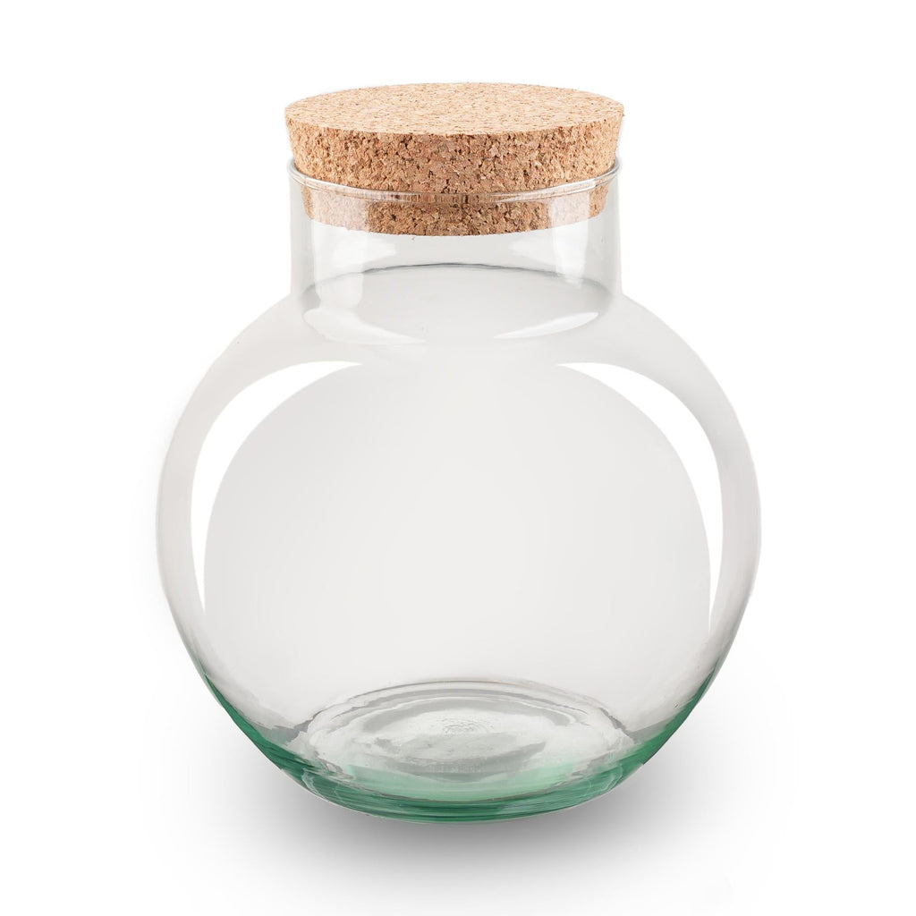 Terrarium Flasche – Geschlossene Glasflasche mit Korken – Höhe 20cm Ø18,5cm – Pflanzenterrarium aus Recyclingglas – Dekoratives Mini – Plant