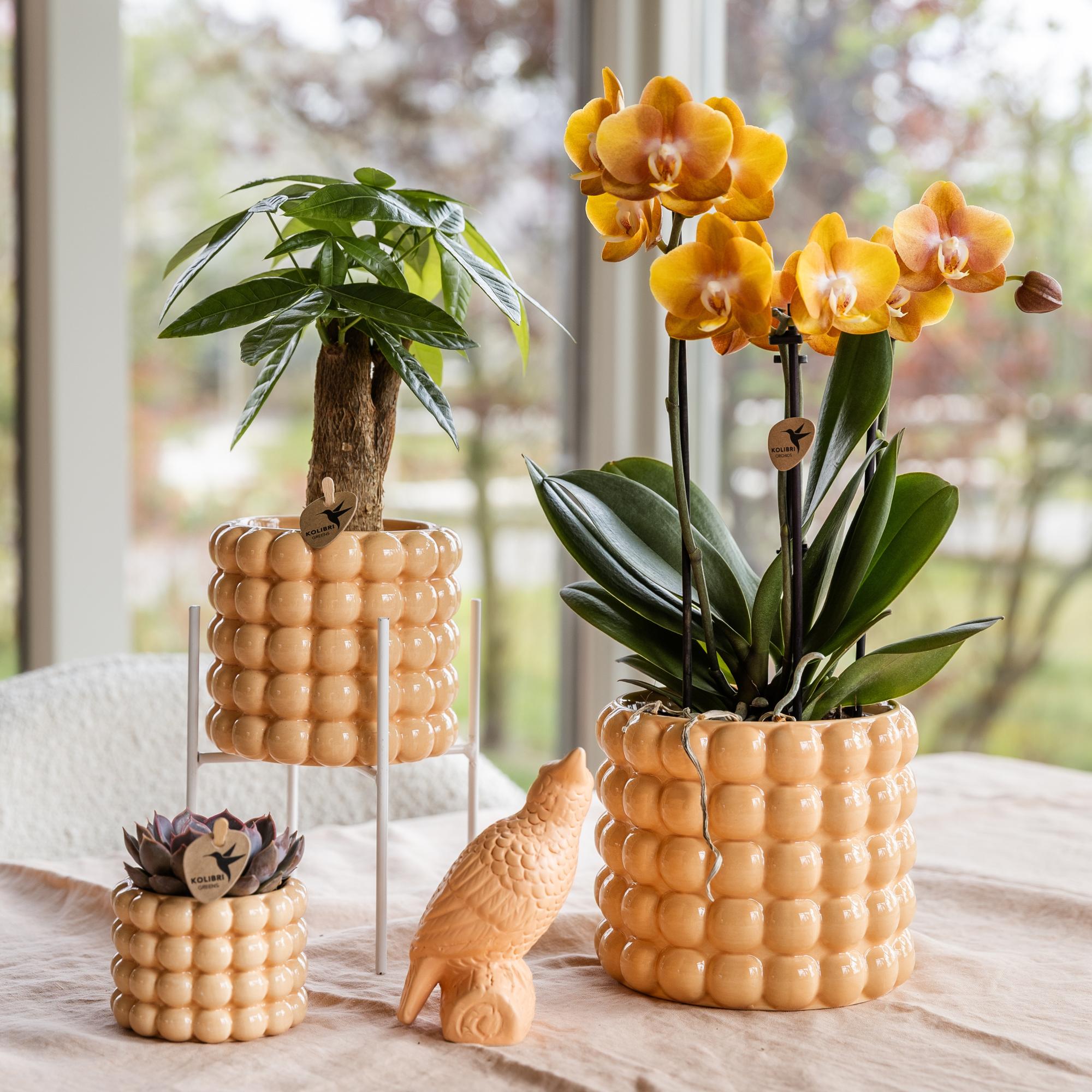 Weißer Metall – Pflanzenständer Ø12cm – Blumentopfständer aus Metall – Pflanzenhalter für Zimmerpflanzen – Stabil, stilvoll & vielseitig – Plant