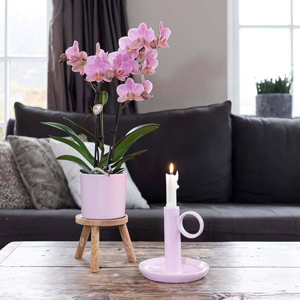 Simplicity Blumentopf – Rosa – 9cm – Moderner Pflanztopf mit glatter Oberfläche – Dekorativer Übertopf für Zimmerpflanzen, Balkon & Büro – Plant