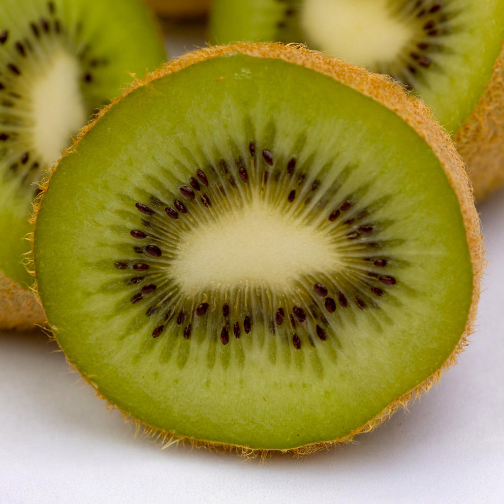Kiwi Pflanze Actinidia deliciosa 'Jenny' – 2er – Set – Obstpflanze 15cm – ca. 50cm hoch – Selbstfruchtend – Für Garten & Balkon – Plant