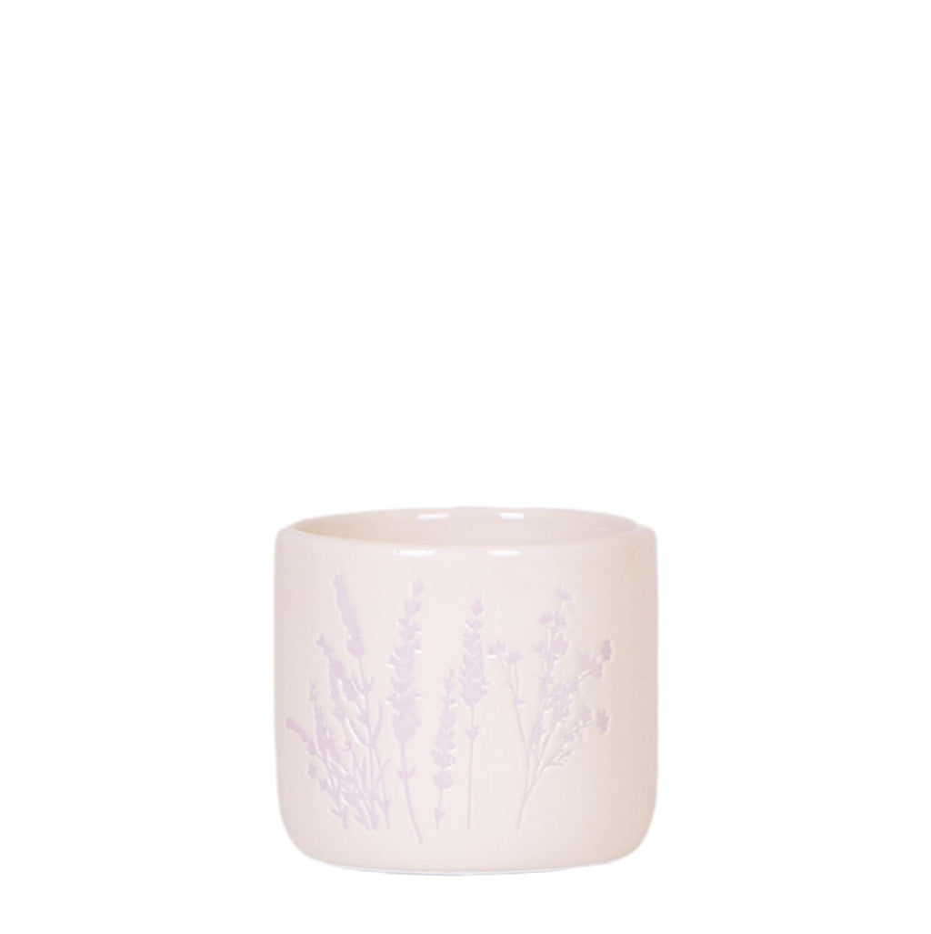 Blumentopf Lavendel – Ø6cm – Pflanztopf für Mini-Pflanzen, Sukkulenten & Kräuter – Leicht & robust – Plant