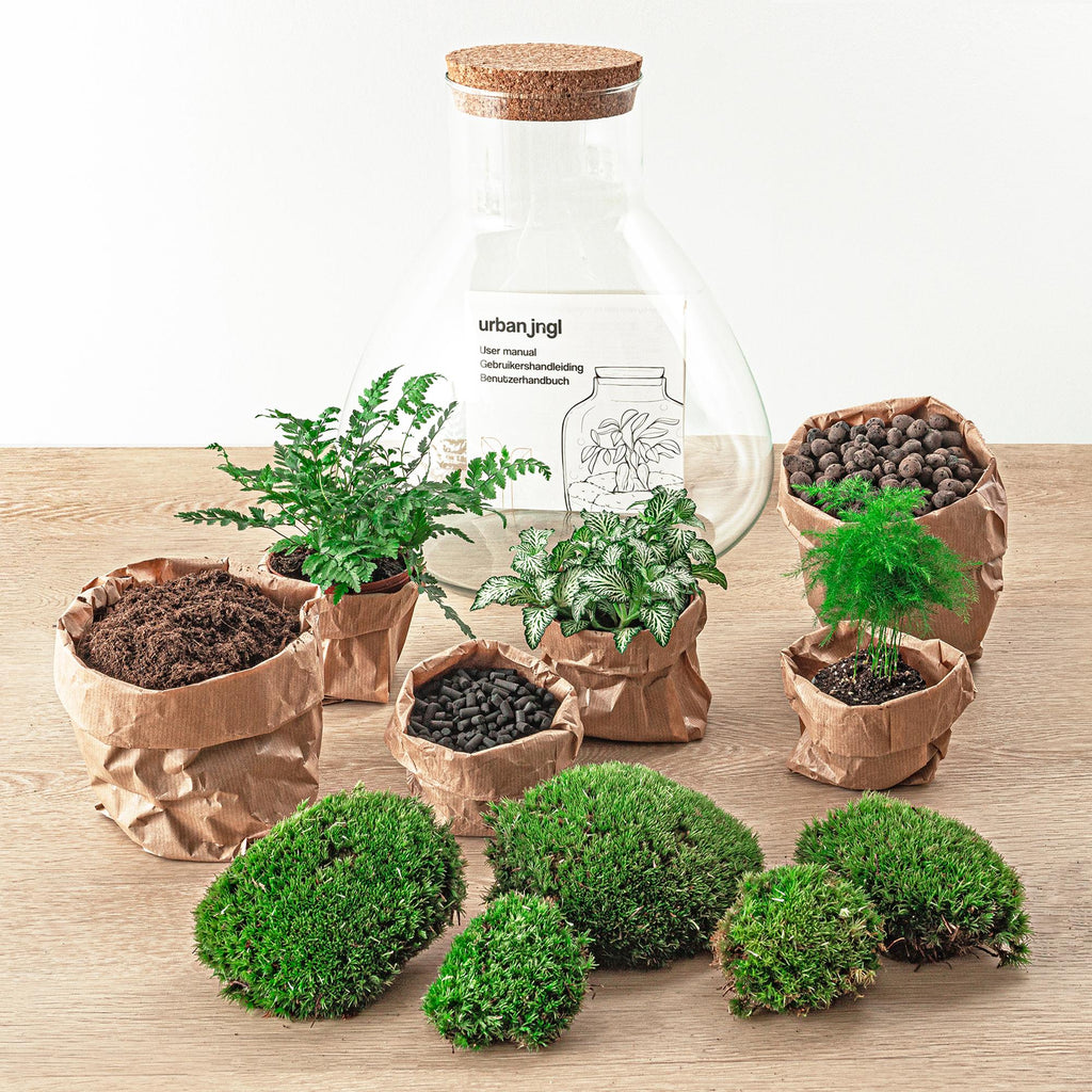 Flaschengarten Sam XL – DIY Bausatz Terrarium – ↕35cm – Do – It – Yourself Pflanzen – Set mit Korkdeckel – Autarkes Mini – Ökosystem – Plant
