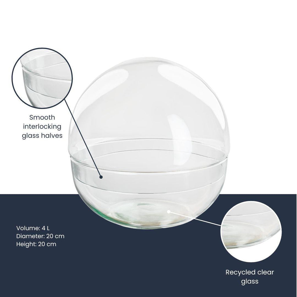 Terrarium – Glaskuppel Dome – zweiteilig – Ø20cm ↕20cm – Runde Glasflasche aus Recyclingglas – Ideal für DIY – Pflanzenterrarien & Mini – Ökosysteme – Plant