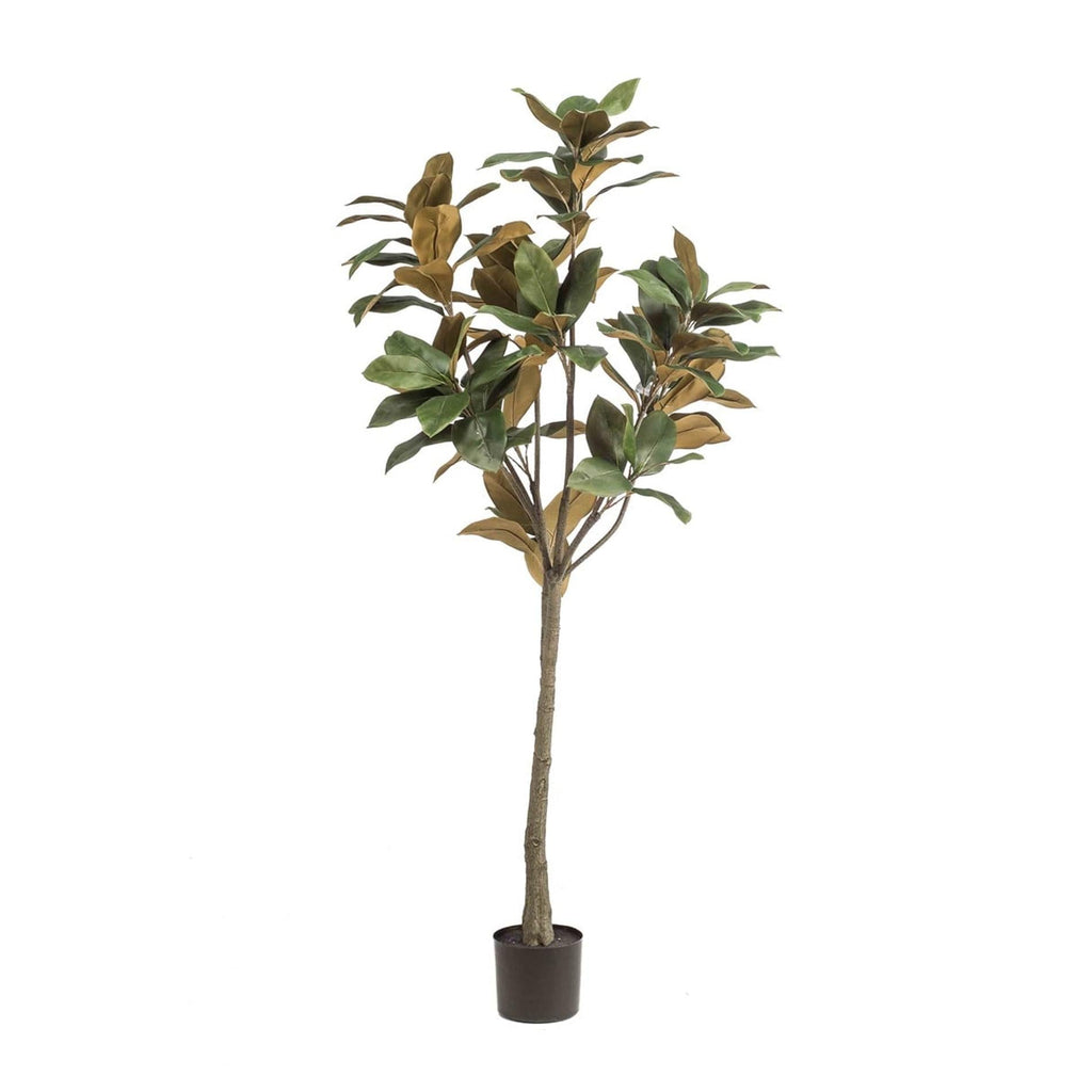 Magnolia Denudata – 150cm Kunstbaum – Künstliche Magnolie Weiß – Pflegeleichte Deko für Zuhause & Büro – Plant
