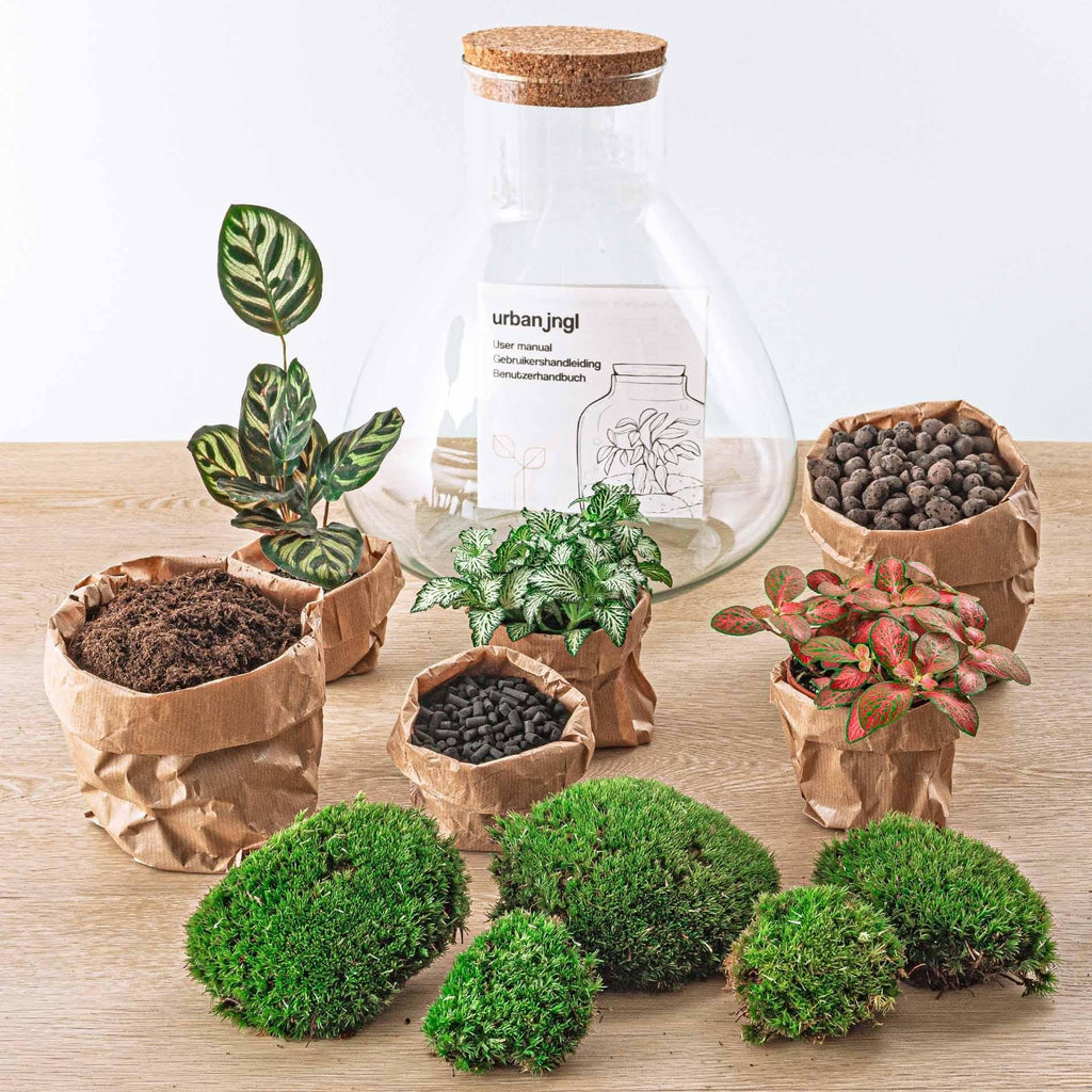 Flaschengarten Sam XL Rot – DIY Bausatz Terrarium – ↕35cm – Do It Yourself Pflanzen – Set – Autarkes Mini – Ökosystem – Plant