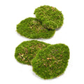 Moos 4er Set – Künstliches Moos 16x12cm – Realistische Moosplatten aus hochwertigem Kunststoff – Wartungsfrei – Plant