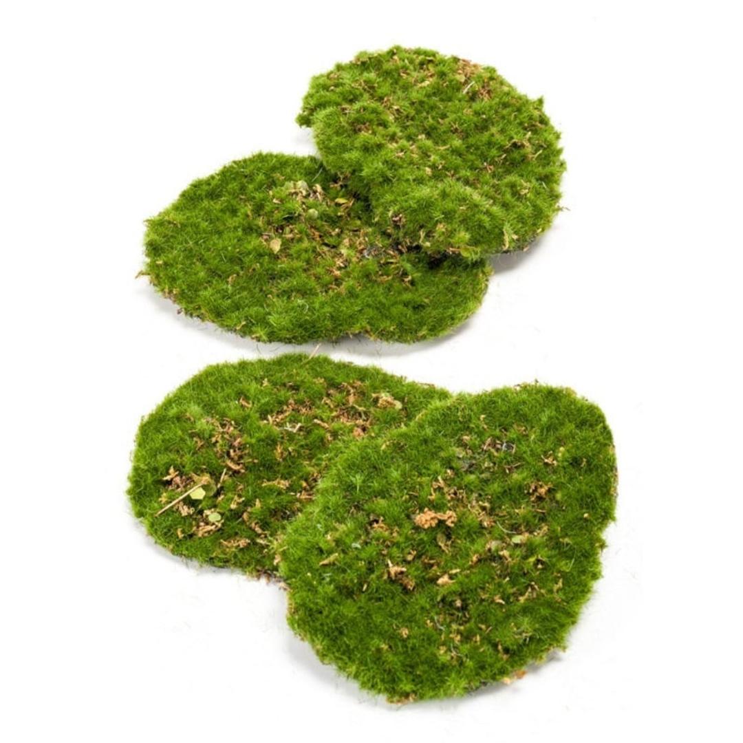 Moos 4er Set – Künstliches Moos 16x12cm – Realistische Moosplatten aus hochwertigem Kunststoff – Wartungsfrei – Plant
