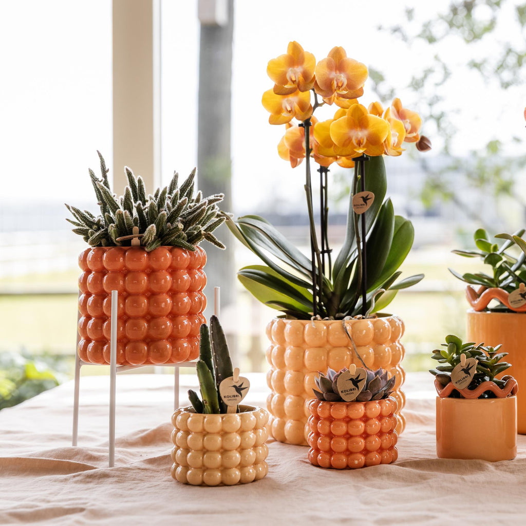 Weißer Metall – Pflanzenständer Ø12cm – Blumentopfständer aus Metall – Pflanzenhalter für Zimmerpflanzen – Stabil, stilvoll & vielseitig – Plant