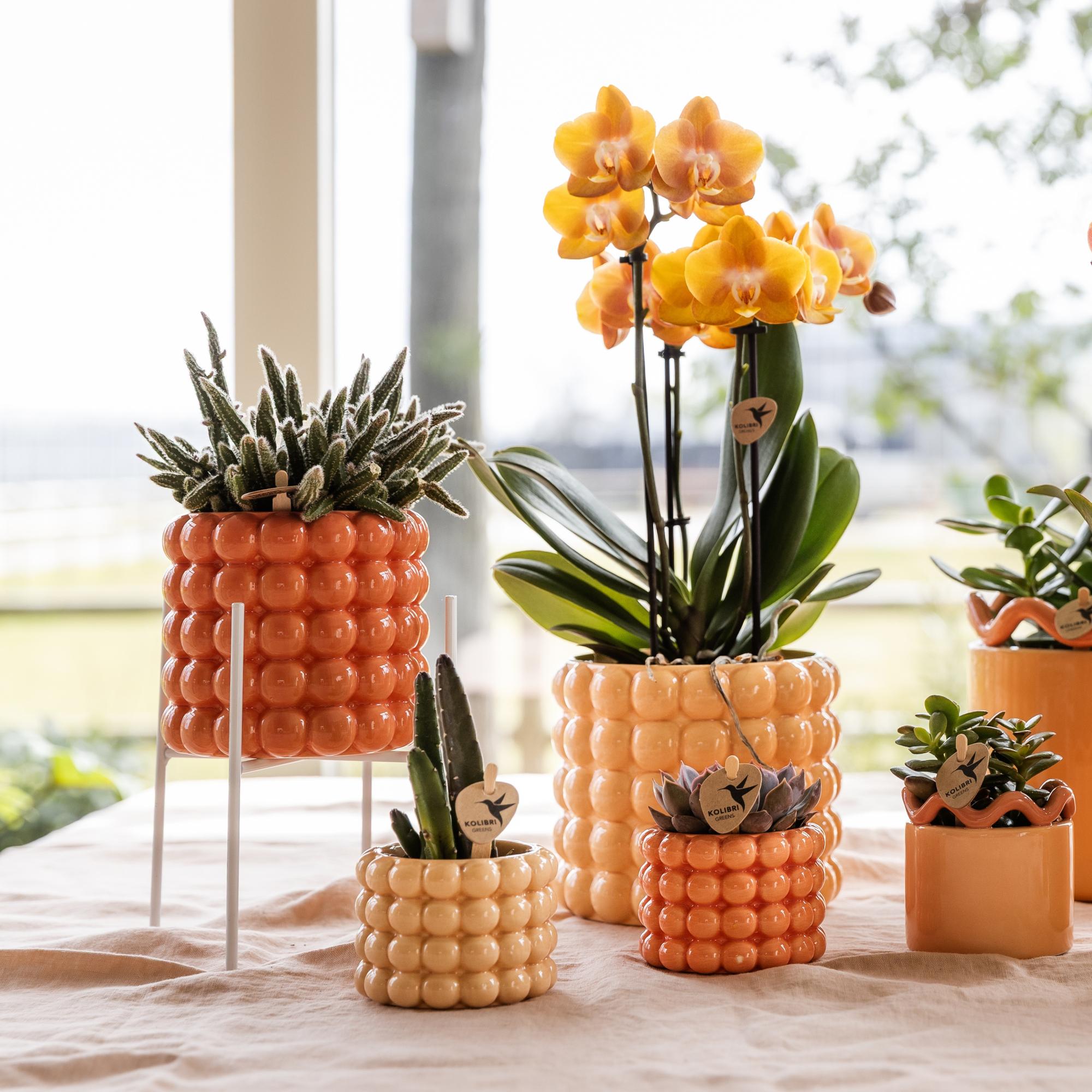 Weißer Metall – Pflanzenständer Ø12cm – Blumentopfständer aus Metall – Pflanzenhalter für Zimmerpflanzen – Stabil, stilvoll & vielseitig – Plant