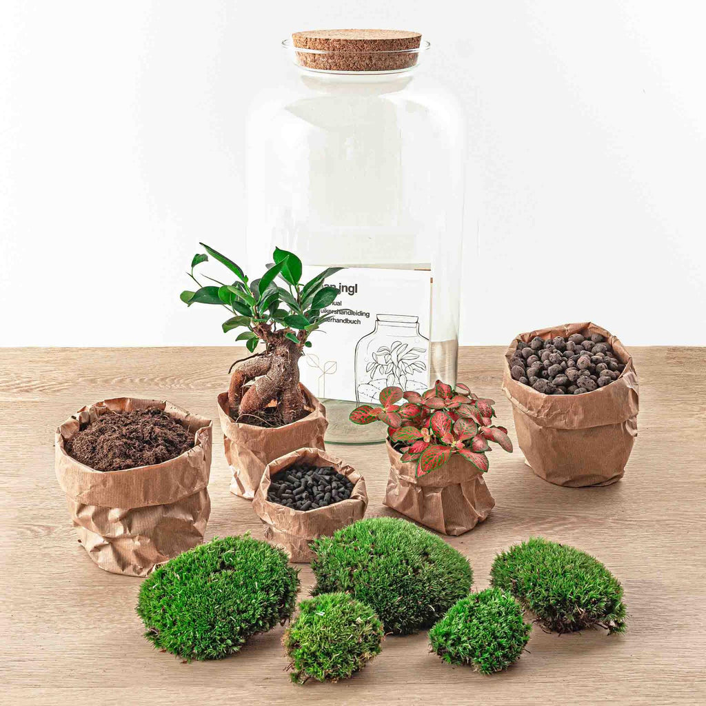 Flaschengarten Sven Bonsai – DIY Bausatz Terrarium – ↕43cm – Do It Yourself Pflanzen – Set im Glas mit Korkdeckel – Autarkes Mini – Ökosystem – Plant