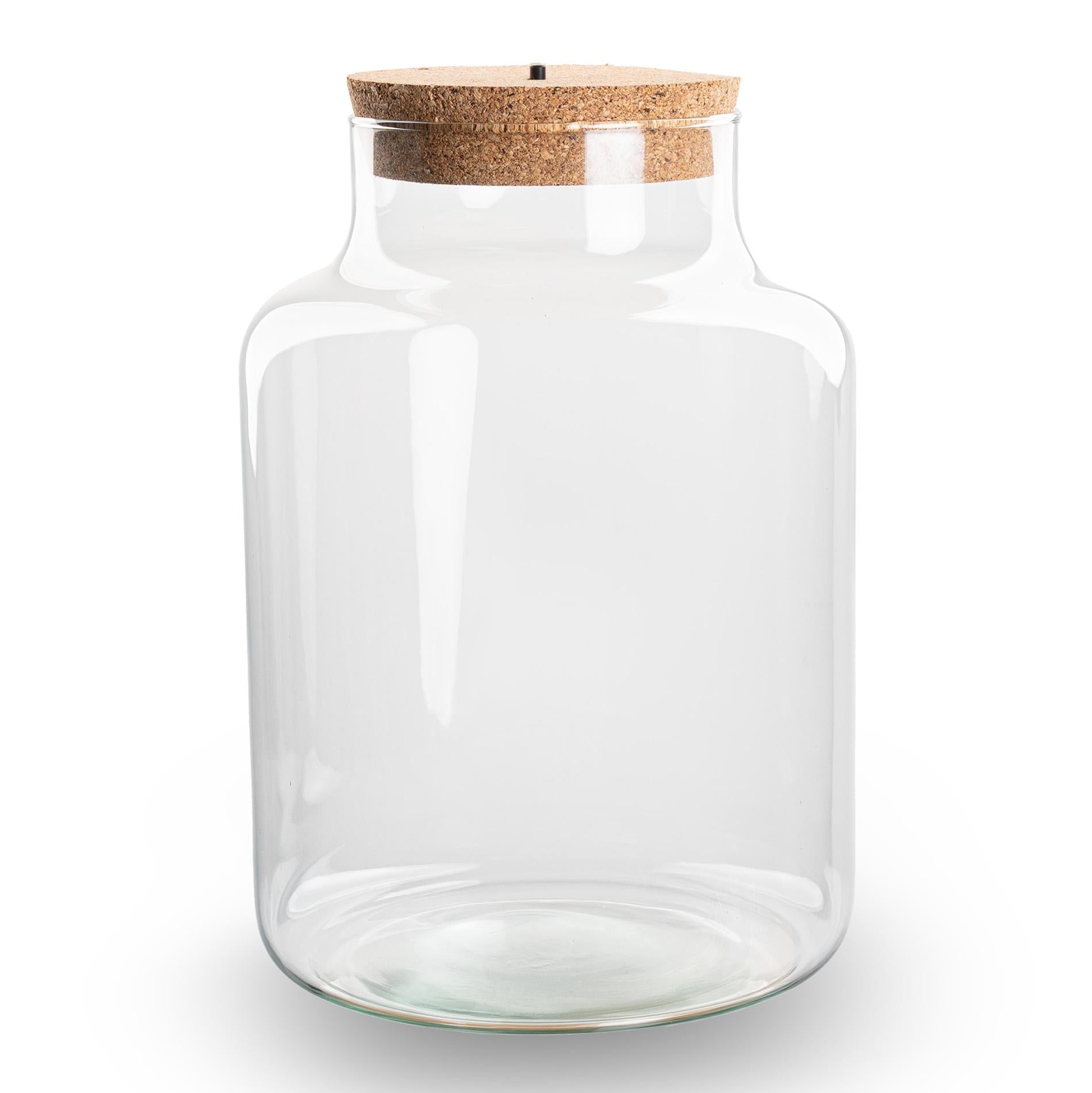 Terrarium Flasche – Geschlossene Glasflasche mit Korken & LED – Beleuchtung – Höhe 24,5cm Ø17cm – Dekoratives Pflanzenterrarium aus Recyclingglas – Plant