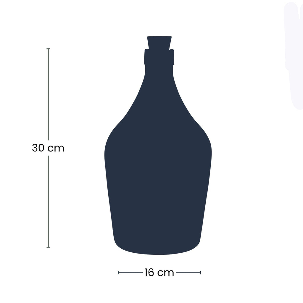 Love in a Bottle DIY Pflanzenterrarium Ø16cm Höhe30cm – Offenes Flaschenterrarium mit Hoya Kerrii Herzpflanze – Sukkulenten Set