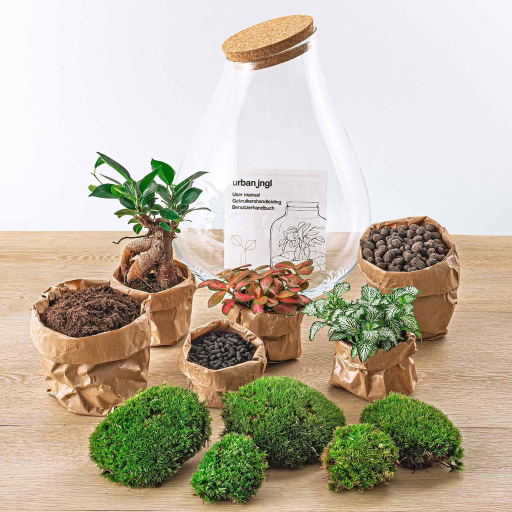 Flaschengarten DIY Bausatz - Terrarium – Drop XL – ↕ 37 cm – Plant