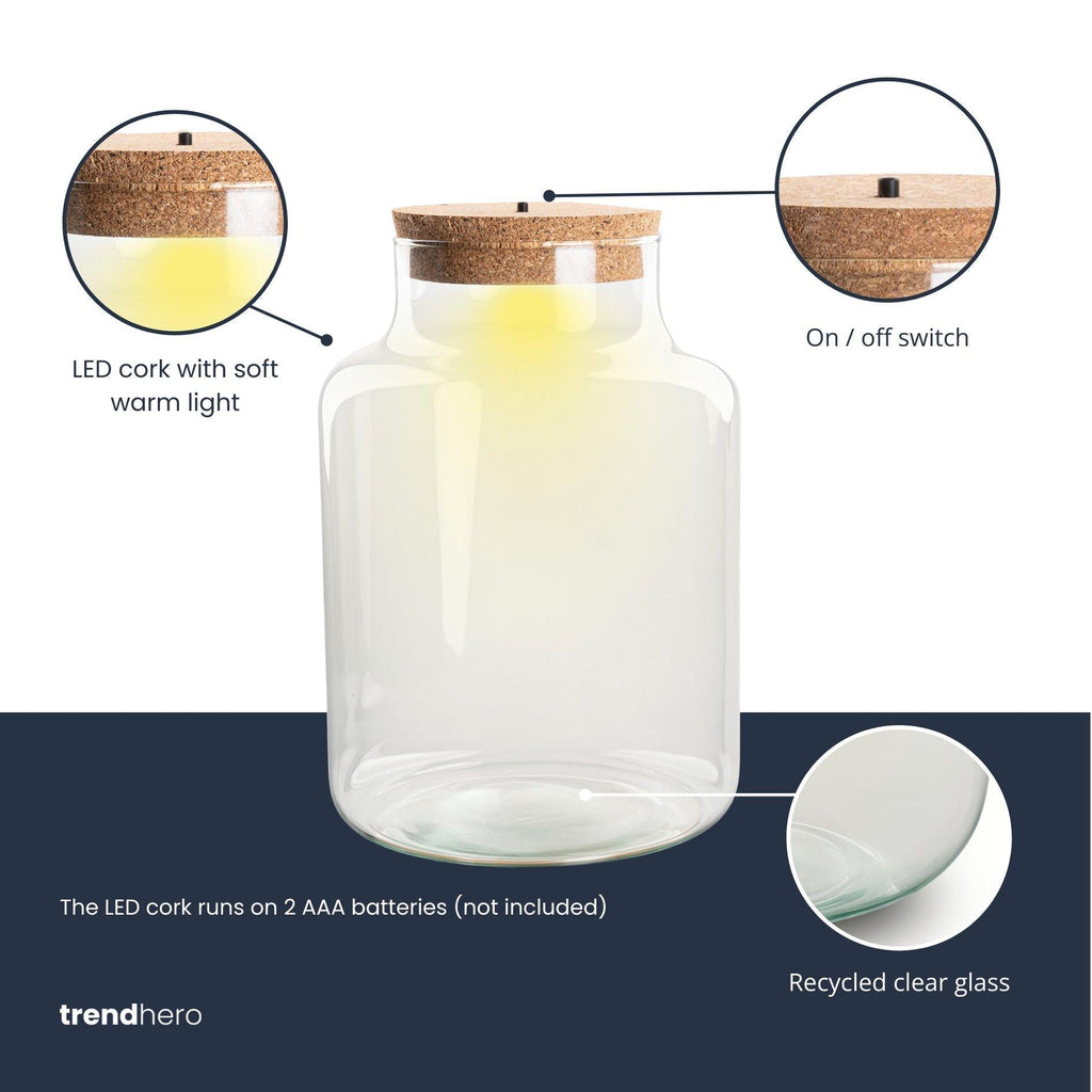 Terrarium Flasche – Geschlossene Glasflasche mit Korken & LED – Beleuchtung – Höhe 24,5cm Ø17cm – Dekoratives Pflanzenterrarium aus Recyclingglas – Plant