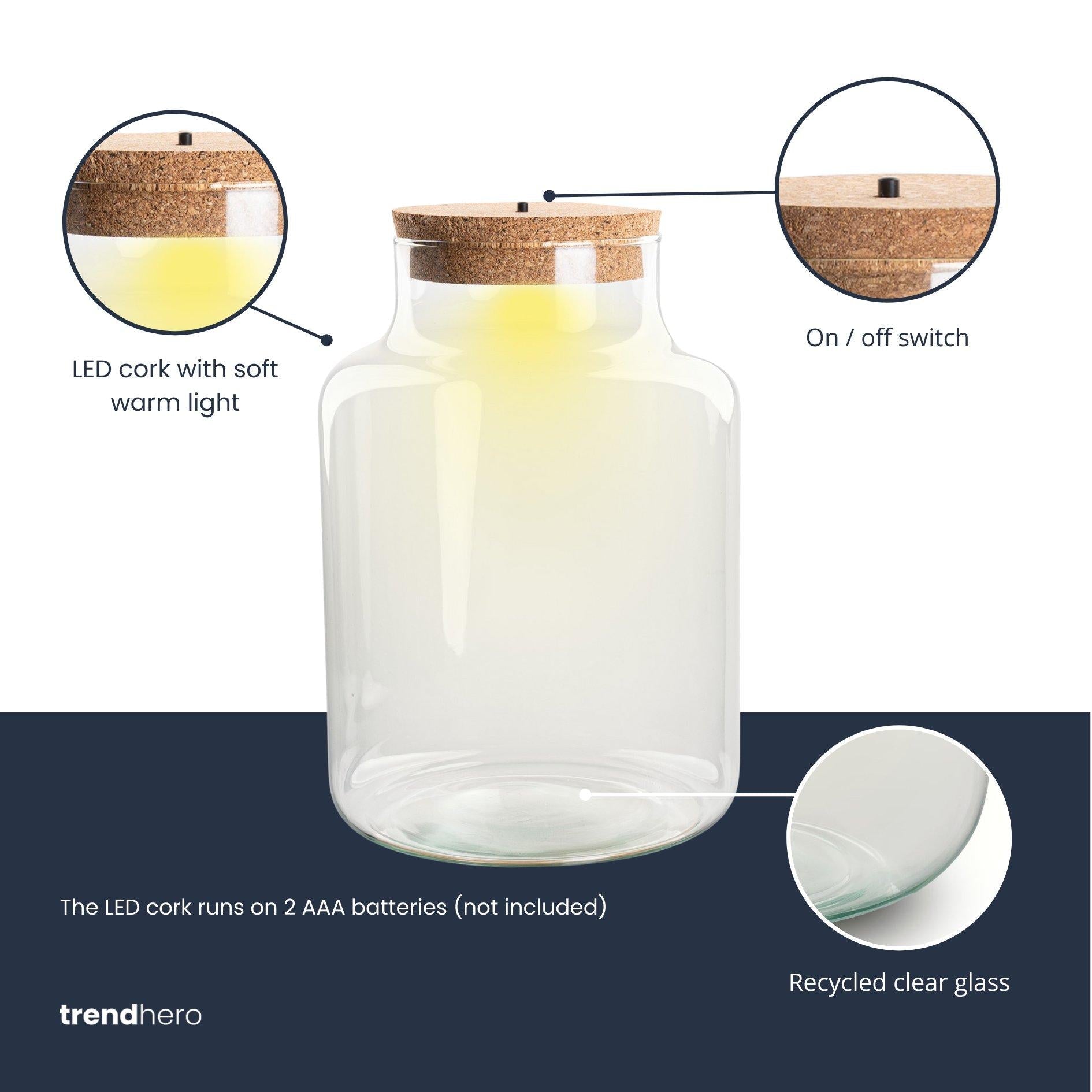 Terrarium Flasche – Geschlossene Glasflasche mit Korken & LED – Beleuchtung – Höhe 24,5cm Ø17cm – Dekoratives Pflanzenterrarium aus Recyclingglas – Plant