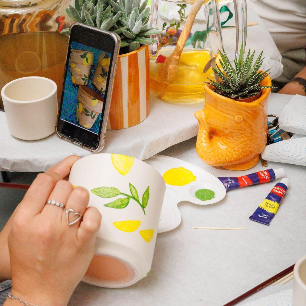 Malset Blumentöpfe bemalen – DIY Set für 4 Personen – inkl. 8 Blumentöpfe, 8 Sukkulenten, 24 Farben & Pinsel – Kreativ – Set von Kolibri Creatives – Plant