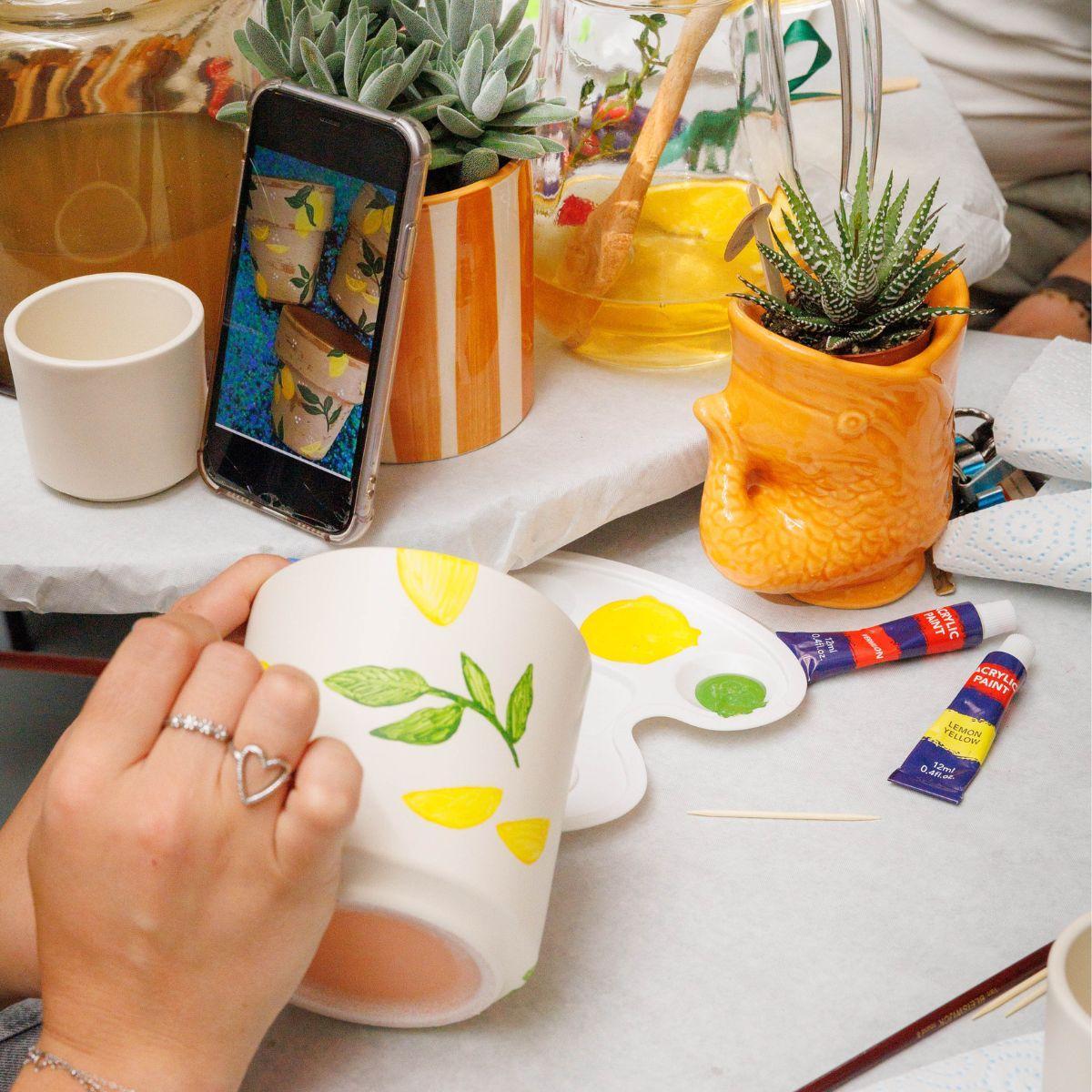 Malset Blumentöpfe bemalen – DIY Set für 4 Personen – inkl. 8 Blumentöpfe, 8 Sukkulenten, 24 Farben & Pinsel – Kreativ – Set von Kolibri Creatives – Plant