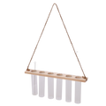 Reagenzglasaufhänger M – Kompakter Wandhalter für Reagenzgläser – Praktische Aufhängung für Dekoration, Pflanzen & Laborbedarf – Plant