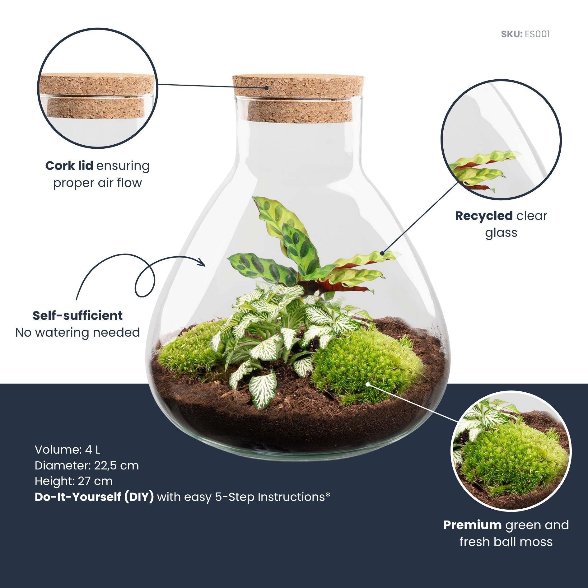 Flaschengarten Sammie DIY – Pflanzenterrarium im Glas mit Korkdeckel – Mini – Dschungel im Glas Ø22,5×H27cm – inkl. Calathea & Moos – Plant