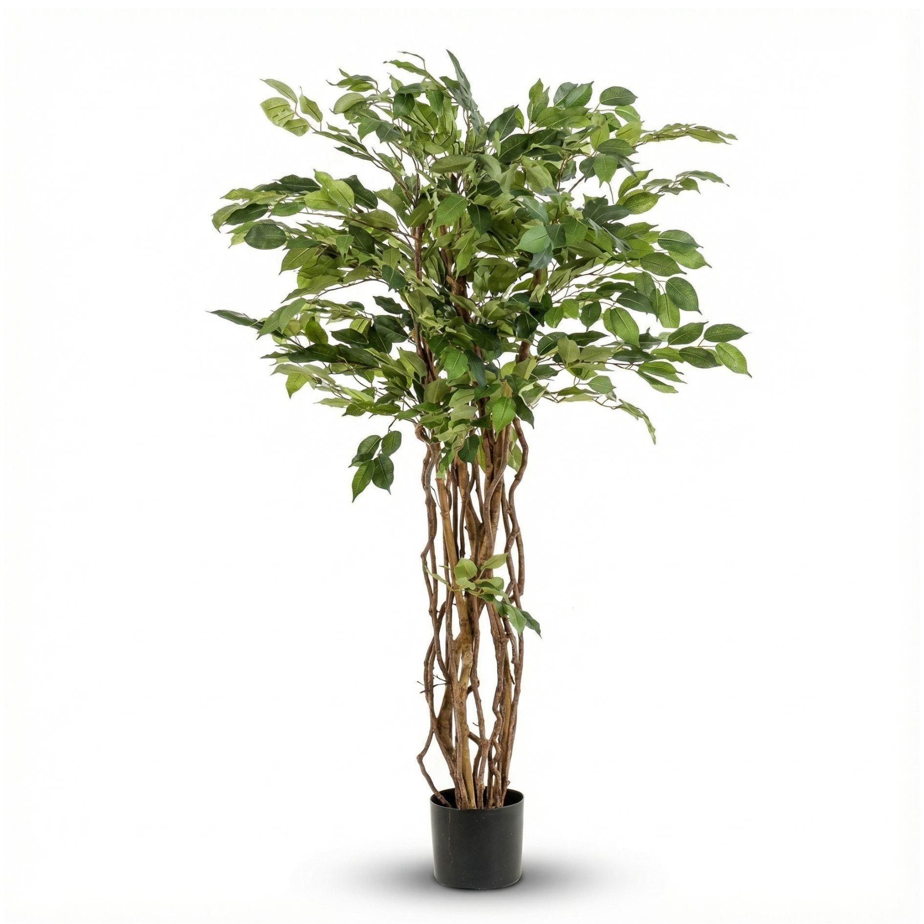 Ficus Liana Kunstbaum – 140cm – künstliche Pflanze mit realistischer Blattstruktur – Pflegefreier Deko Baum für Wohnzimmer Büro & Empfangsbereich – Standard
