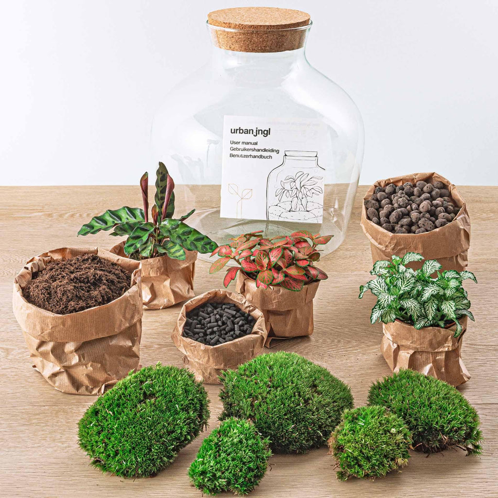 Flaschengarten DIY Bausatz – Terrarium Fat Joe Rot – Ø29cm x ↕30cm – Selbstversorgendes Pflanzterrarium mit Moosen & Zimmerpflanzen – Plant