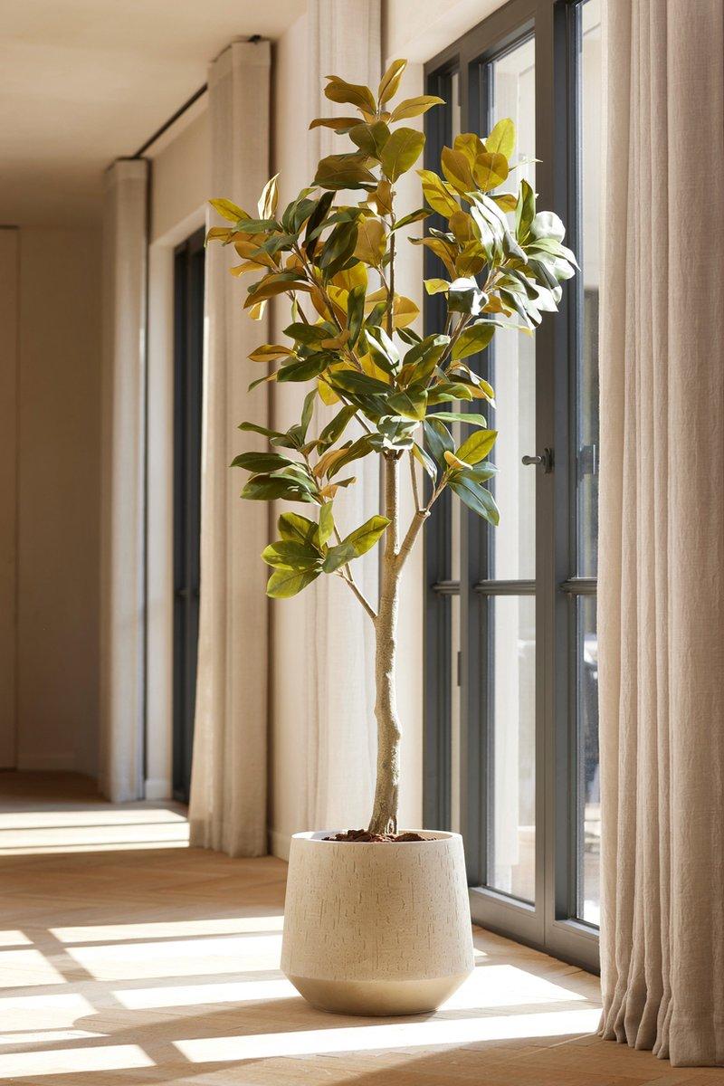 Magnolia Denudata – 150cm Kunstbaum – Künstliche Magnolie Weiß – Pflegeleichte Deko für Zuhause & Büro – Plant