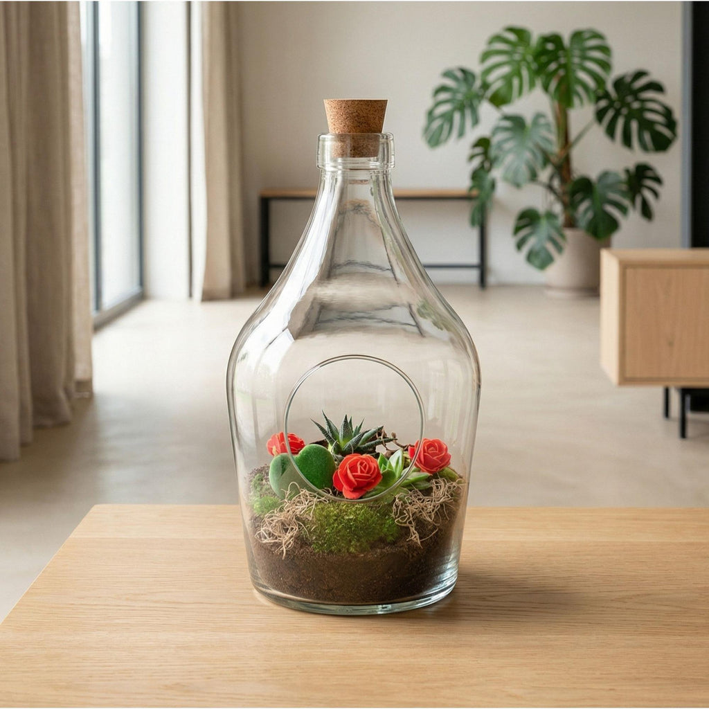 Love in a Bottle DIY Pflanzenterrarium Ø16cm Höhe30cm – Offenes Flaschenterrarium mit Hoya Kerrii Herzpflanze – Sukkulenten Set