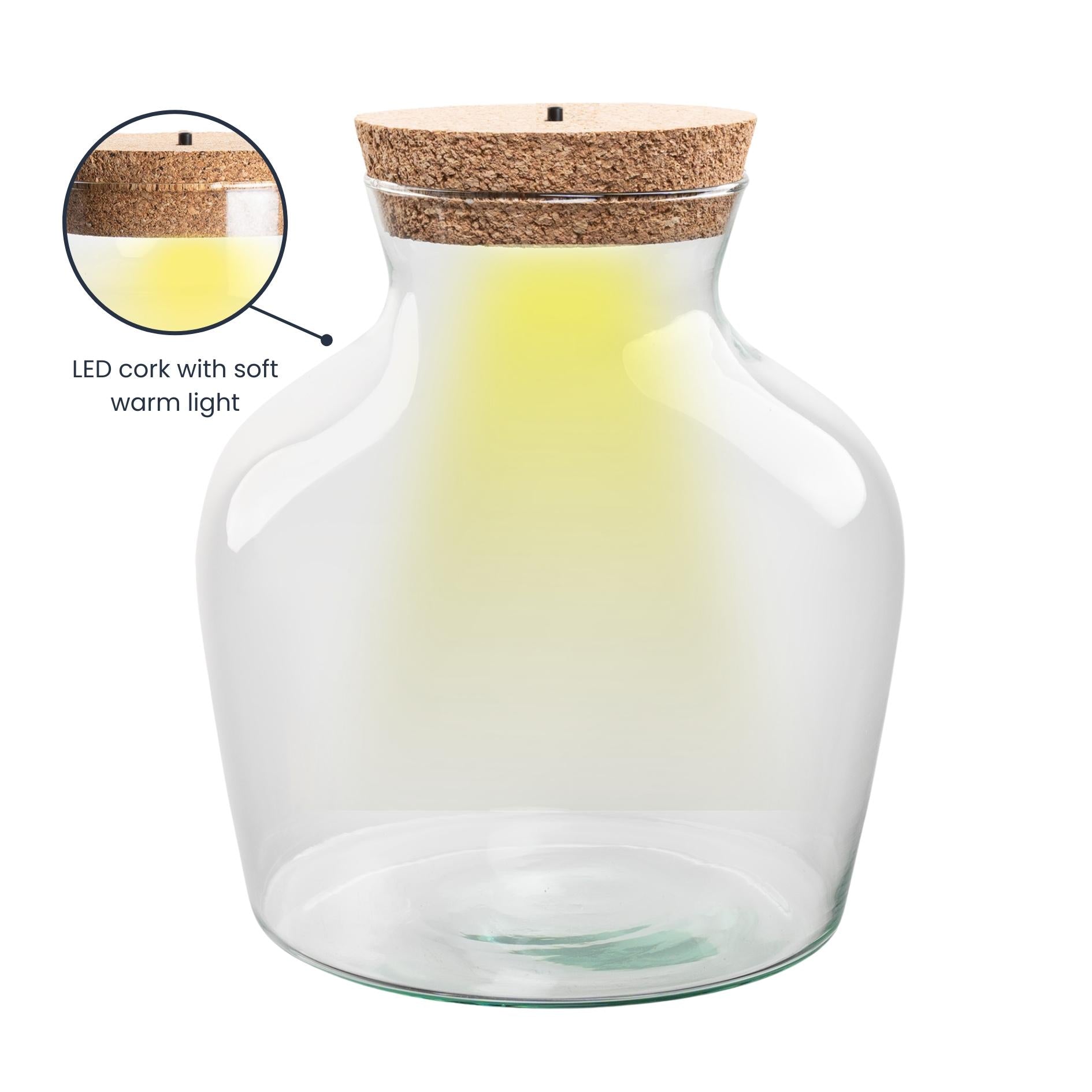 Flaschengarten – Terrarienflasche aus recyceltem Glas mit LED – Korken – Höhe 22cm Ø20cm – Dekoratives Glasgefäß mit Beleuchtung – Plant