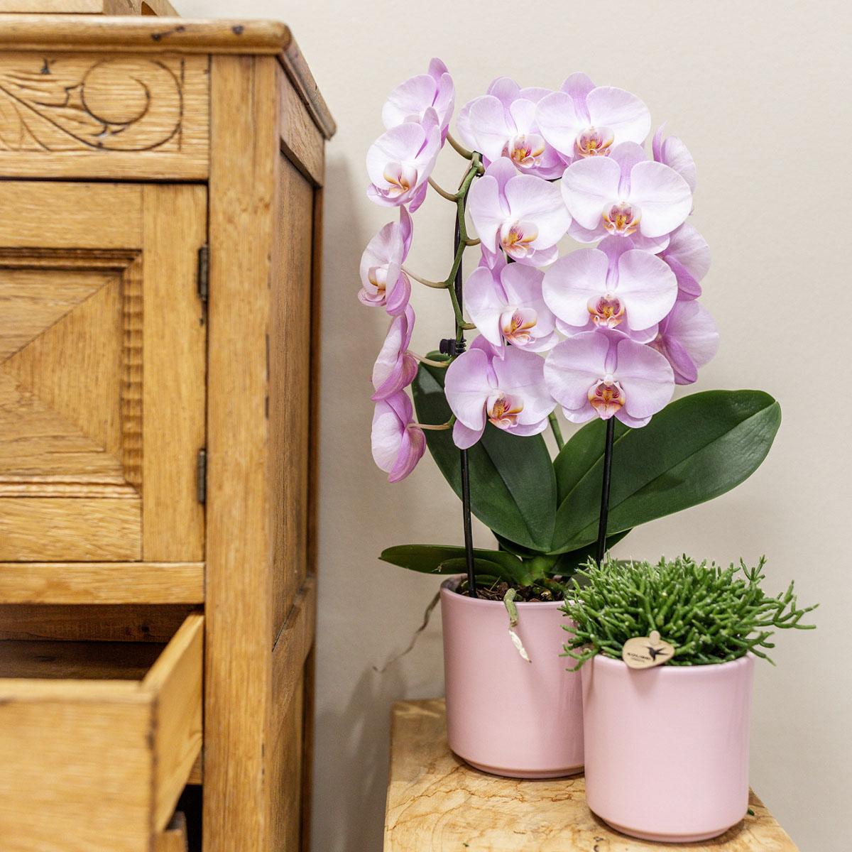 Simplicity Blumentopf – Rosa – 9cm – Moderner Pflanztopf mit glatter Oberfläche – Dekorativer Übertopf für Zimmerpflanzen, Balkon & Büro – Plant