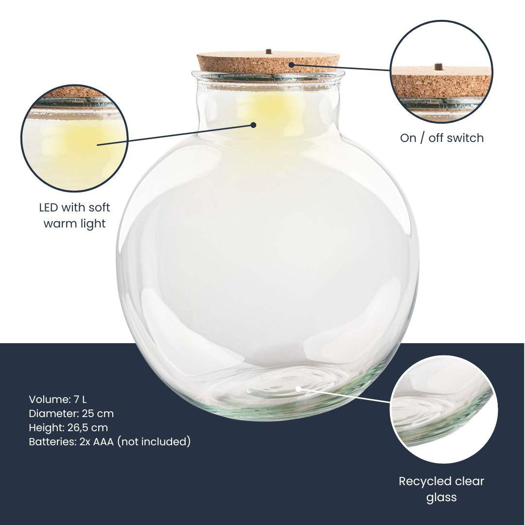 Terrarienflasche Teddy mit Korken – Ø25cm ↕26,5cm – Glasflasche aus Recyclingglas – ca. 7L Volumen – Für DIY – Terrarien & Mini – Ökosysteme – Plant