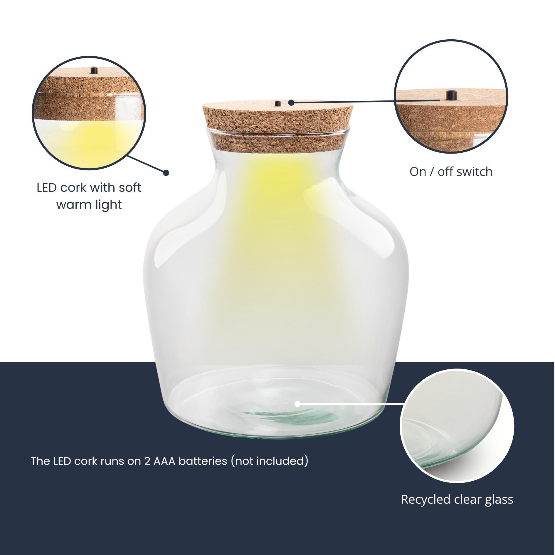 Flaschengarten – Terrarienflasche aus recyceltem Glas mit LED – Korken – Höhe 22cm Ø20cm – Dekoratives Glasgefäß mit Beleuchtung – Plant
