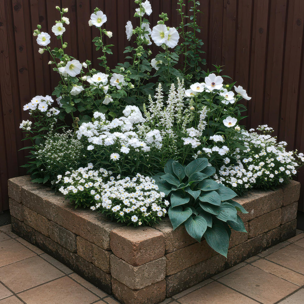 Staudenset – Weiß – 6 weiße Blühstauden – Für 1m² Beet – Pflegeleicht – Eleganter Blütenteppich – Für sonnige Standorte – Ø11cm – Plant
