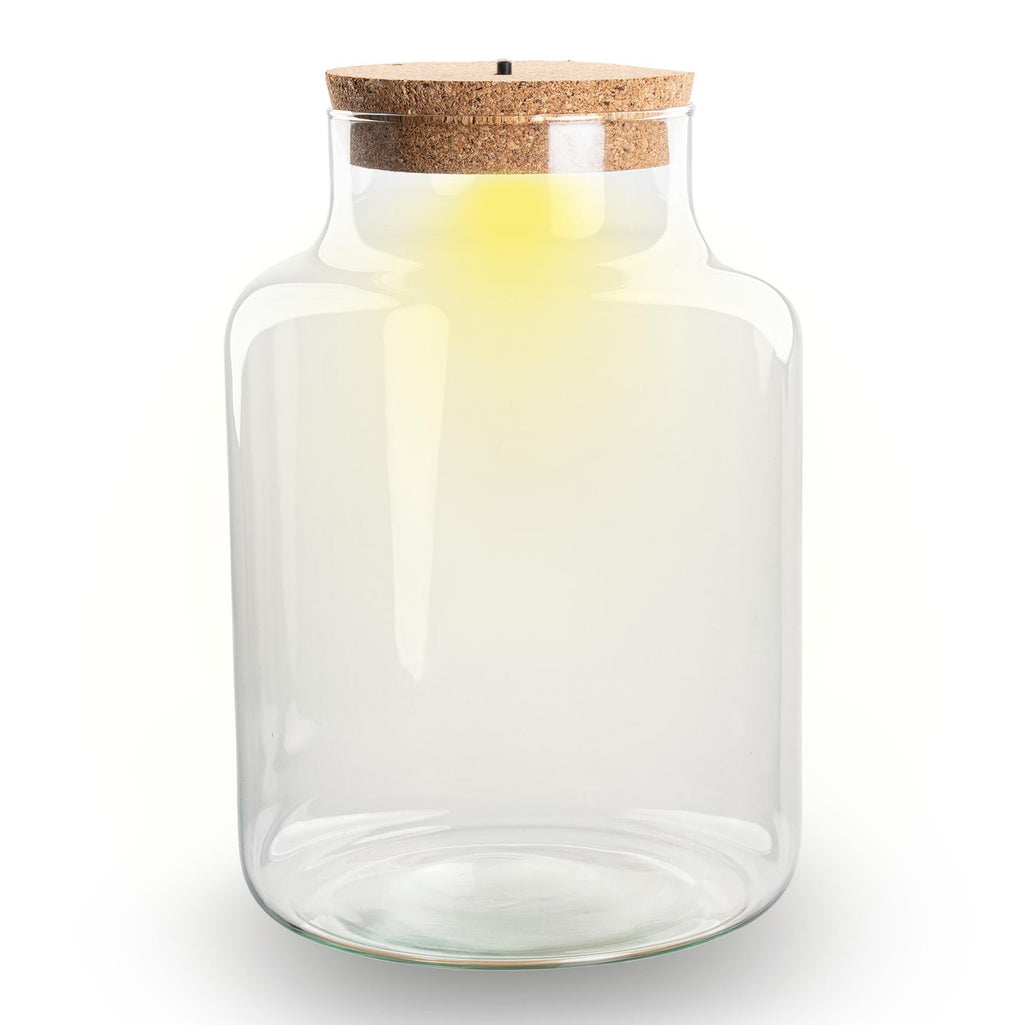 Terrarium Flasche – Geschlossene Glasflasche mit Korken & LED – Beleuchtung – Höhe 24,5cm Ø17cm – Dekoratives Pflanzenterrarium aus Recyclingglas – Plant