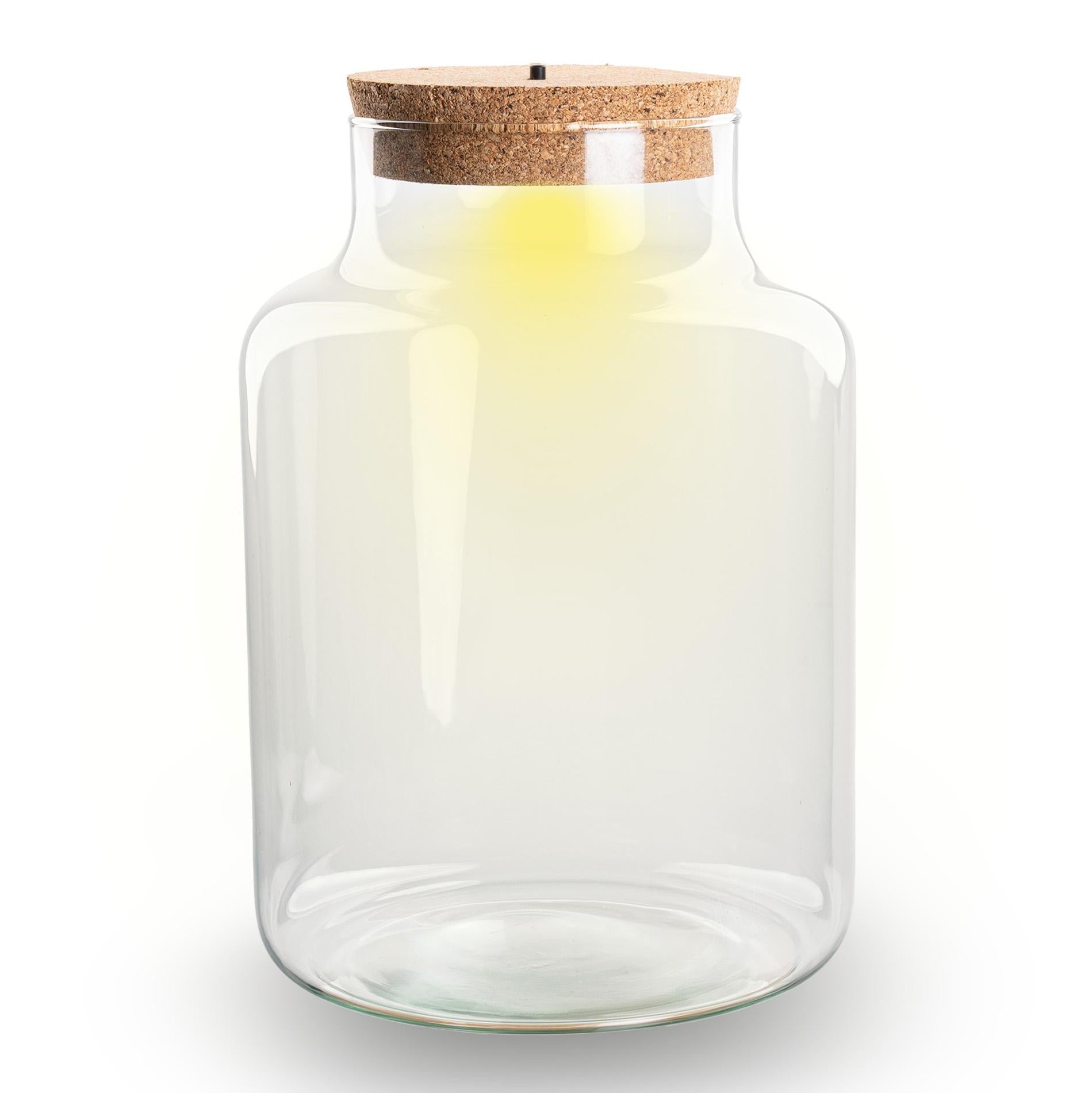 Terrarium Flasche – Geschlossene Glasflasche mit Korken & LED – Beleuchtung – Höhe 24,5cm Ø17cm – Dekoratives Pflanzenterrarium aus Recyclingglas – Plant