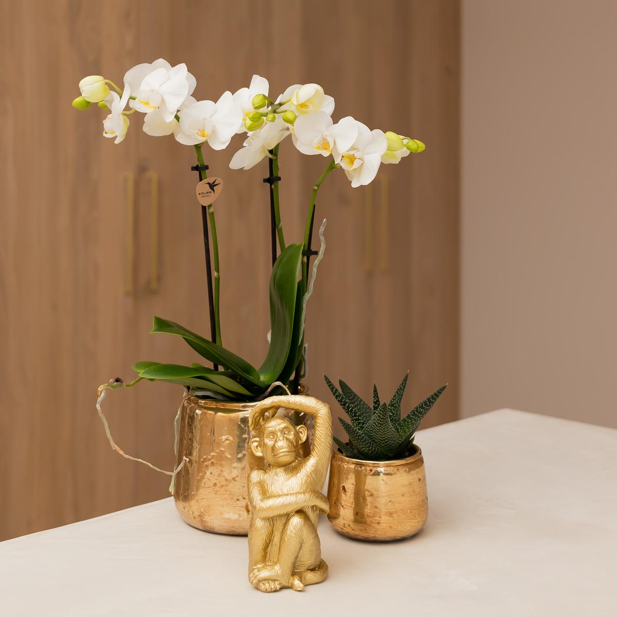 Luxuriöser Blumentopf Gold – Keramik Ziertopf Ø9cm – Glänzender Pflanzkübel für Zimmerpflanzen – Edler Deko – Übertopf in Gold – Plant
