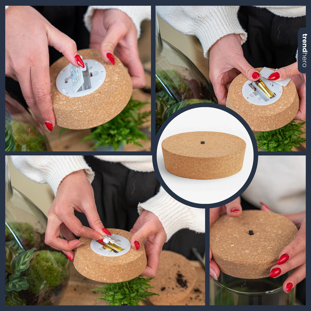LED Korkdeckel – Kork mit Beleuchtung – LED Lampe für Terrarium 12x10,8x3cm – Warmweißes Stimmungslicht für Flaschengarten & Glasdeko – Plant