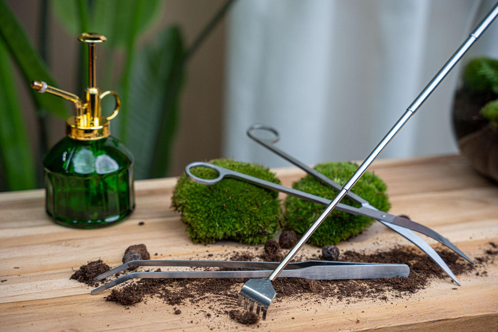 Terrarienpinzette – Edelstahl – 26cm – Lange Greifpinzette für Terrarium & Flaschengarten – Plant